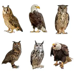 Waterproof Bird Repel Scare Devices Decoration Wind Chime Owl Scarecrow Bird Repeller with Bells Hanging Fake Bird Repellent