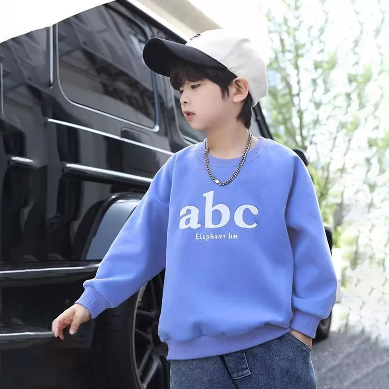 Boys' Mid-Large Size 2025 Spring-Autumn New Crewneck Layering Stylish Dashing Street-Cool Sweatshirt