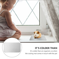 Aluminum Plate Ice Mat Lightweight Smooth Surface Pet Cooling Bed Rabbit Hamster Chinchilla Summer Pad Reusable Heat Dissipation