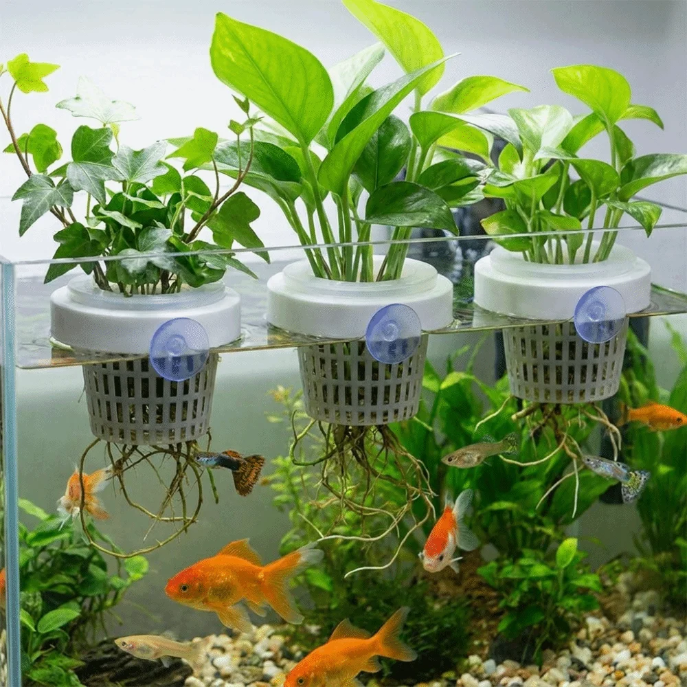 Plastic Floating Aquatic Plant Basket Suction Cup Round Hydroponic Planting Basket Root Protection Hydroponic Plant Holder