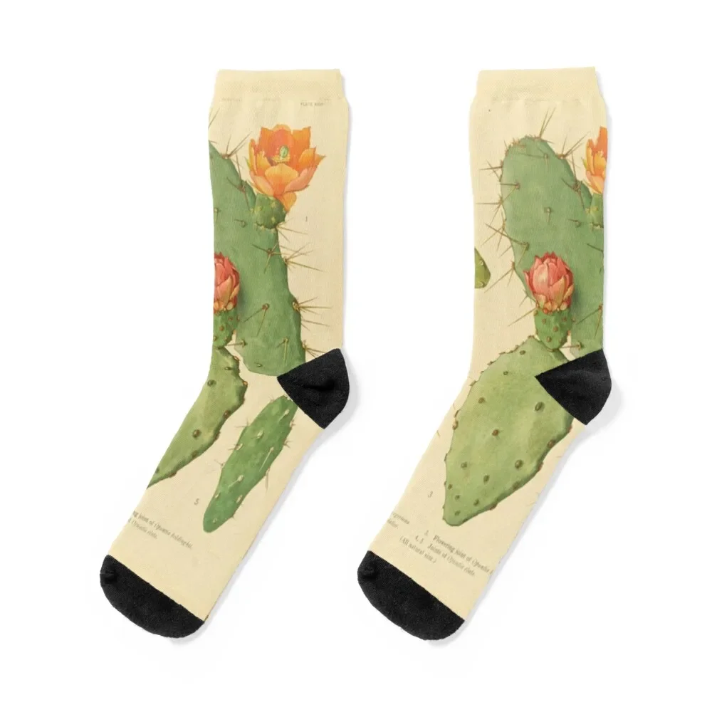 

Prickly Pear Cactus Socks snow Lots winter funny sock Ladies Socks Men's