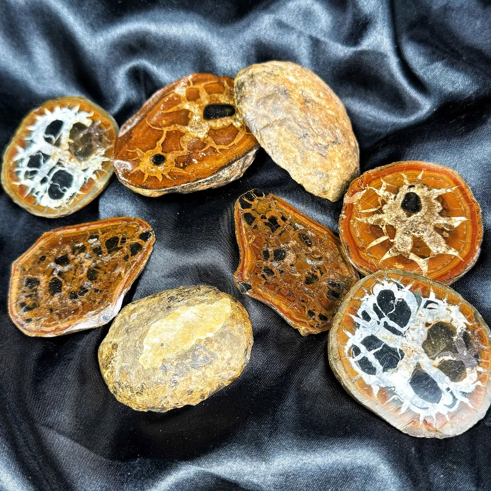 1 Pair Moroccan Turtle Shell Slice Home Decor Interior Accessories Holiday Gift Loose Synthetic Gemstones