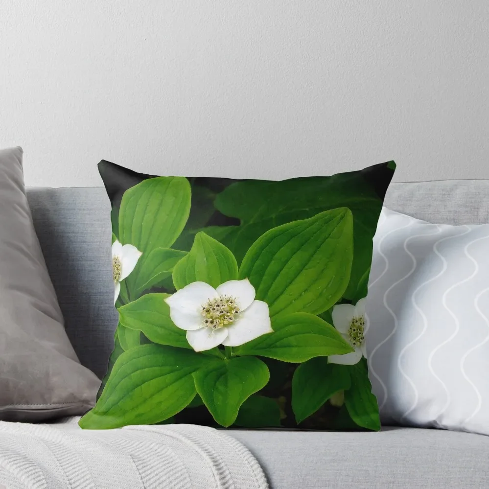 

Bunchberry Blossoms Throw Pillow Pillows Aesthetic Couch Cushions home decor items pillow