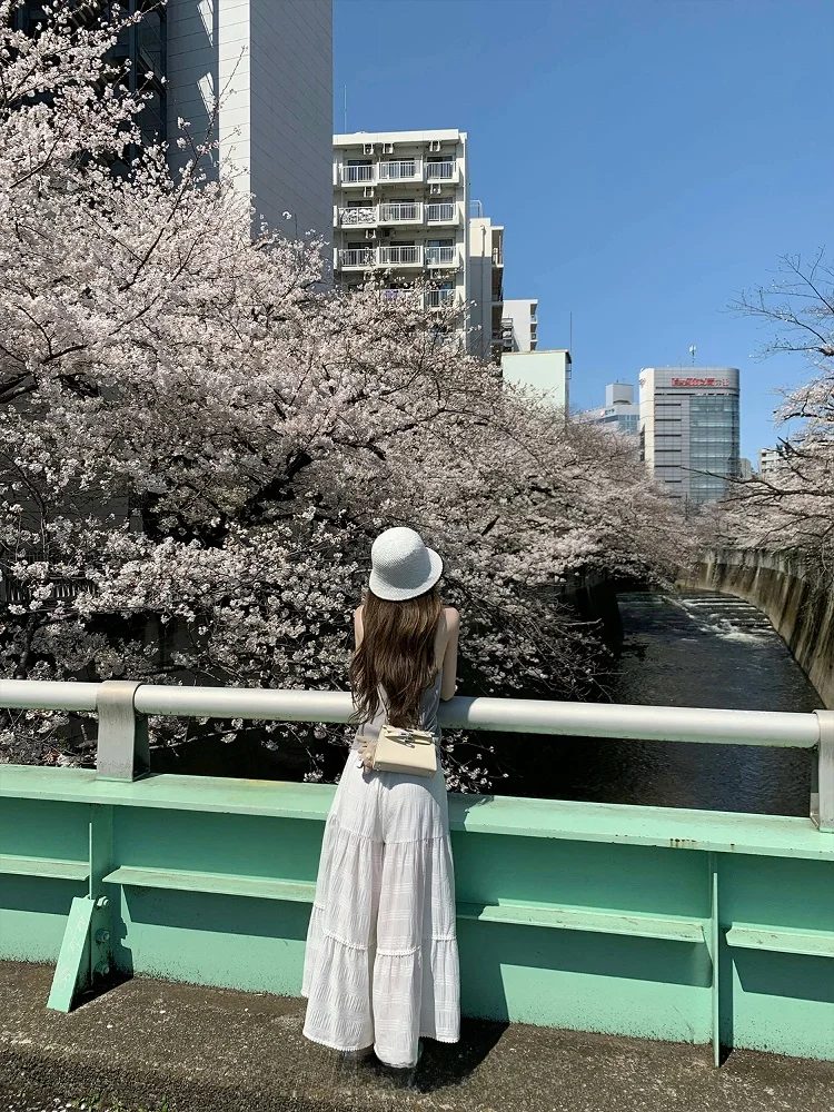 กางเกงขายาวลำลองเอวสูงทรงขาบาน ดีไซน์ซัมเมอร์สุดฮิต สำหรับผู้หญิง ผ้าบางเบา ใส่สบาย ทรงกระโปรงกางเกง