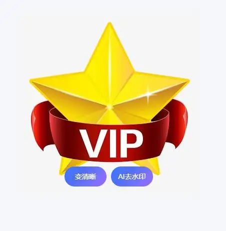 

VIP special link for VIP accessory