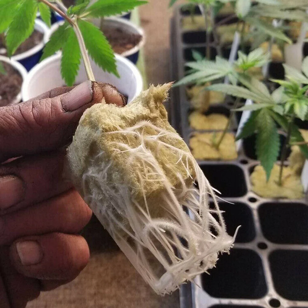 

Hydroponics Kit 1Set Net Cups 30 Wool Starter Plugs 10m Wick Cord Soilless Culture Set Safe Material Multiple Seeds Sprouting