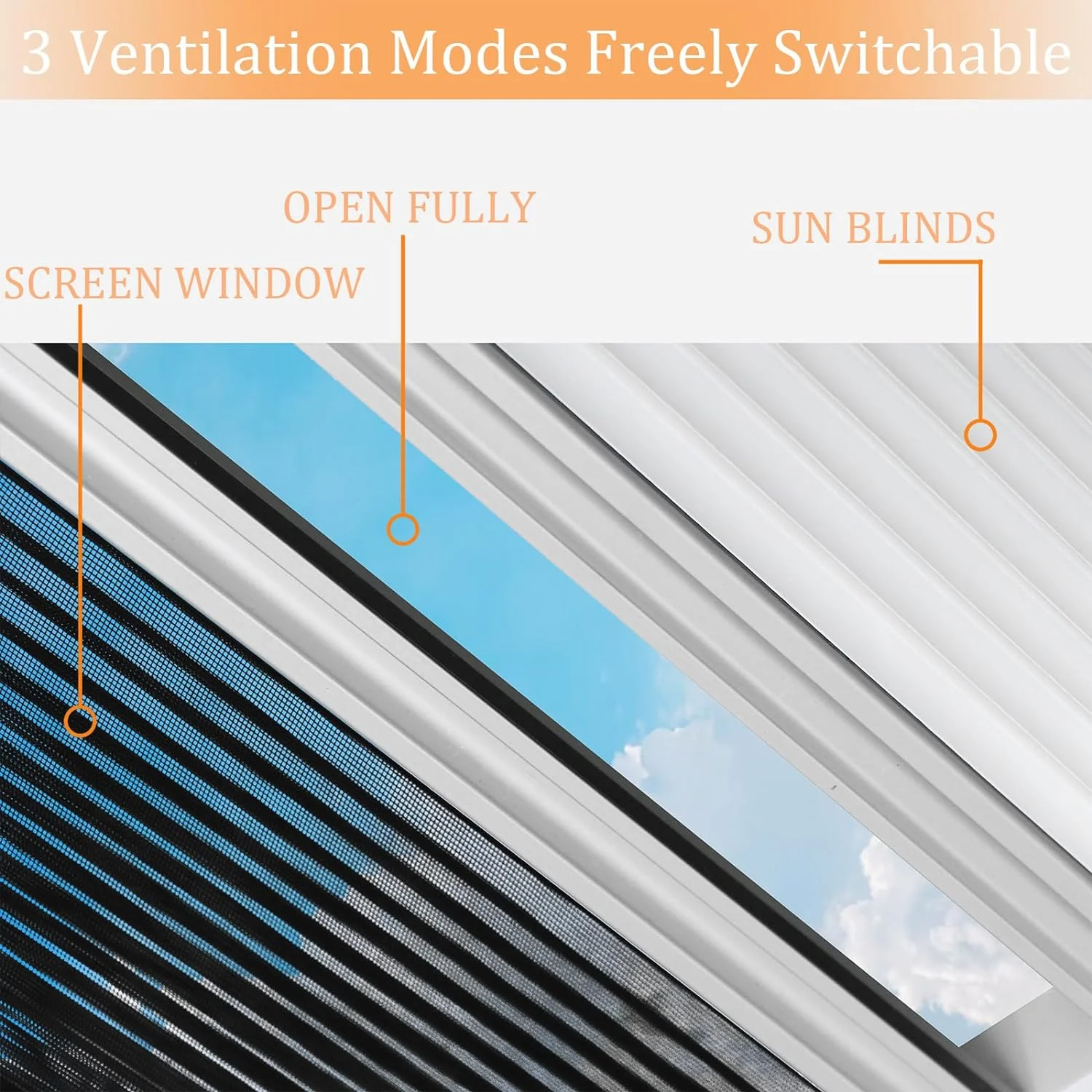 Wohnmobil fenster 21 \