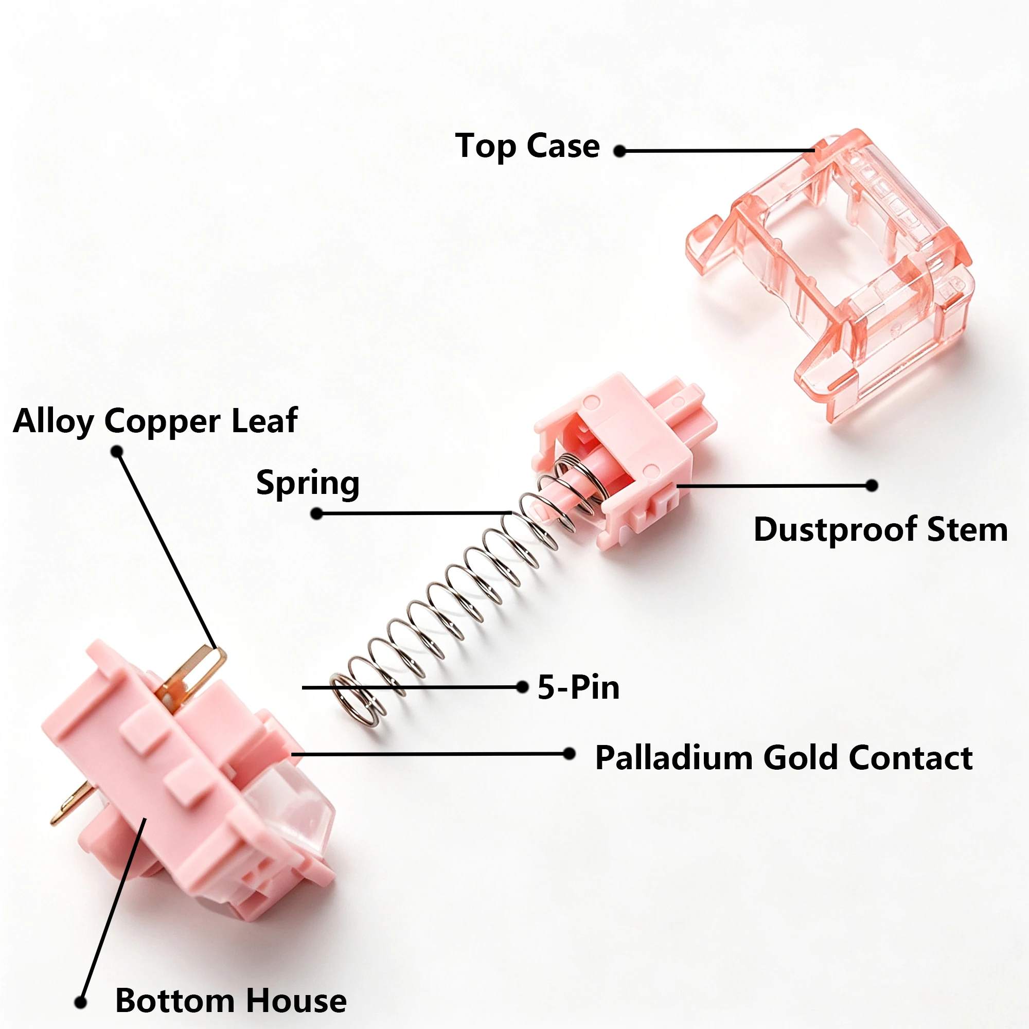LEOBOG Feather Silent Switch 29gf 5-Pin Linear Creamy Switches für benutzerdefinierte DIY 60% Gaming mechanische Tastaturen mit POM-Stiel MX-Tastenkappen – Detail 2