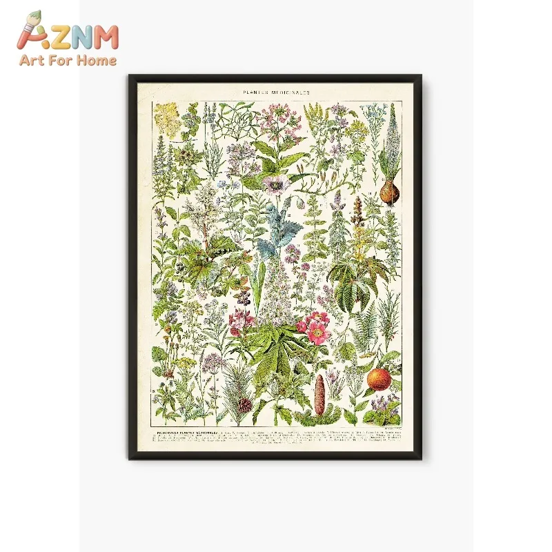 Vintage Antique Book Wall Art Plant Illustration Medicinal Herb Fruit Seaweed Tree Mushroom Canvas Painting Home Decor Gift