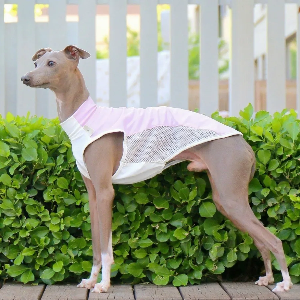 

Летняя одежда для щенков, дышащая одежда для кошек и собак, защита от льда, солнцезащитный жилет для собак, футболка для маленьких собак, товары для домашних животных