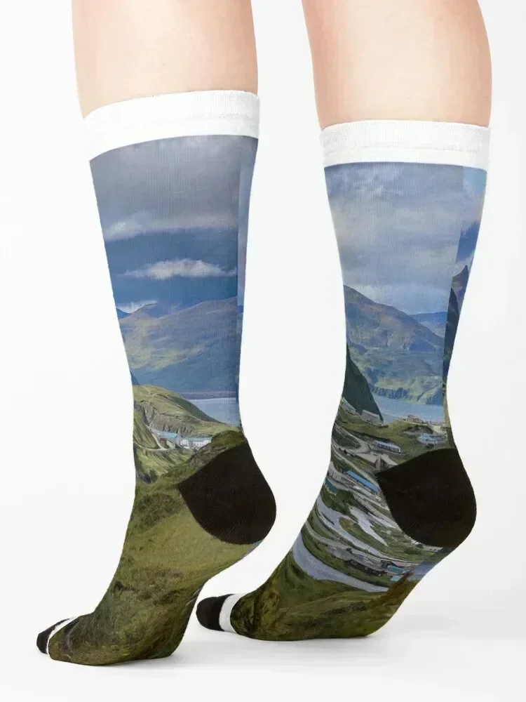 AleutianLife Unalaska Summer Green Socks tennis sheer men cotton high quality short Men's Socks Luxury Women's