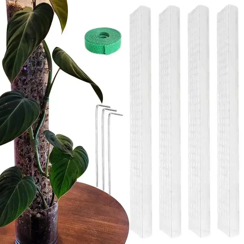 

Moss Pole For Plants 24-inch Plant Support Poles Indoor Potted Plant Sticks Support Train Creeper Indoor Plants To Grow Upwards