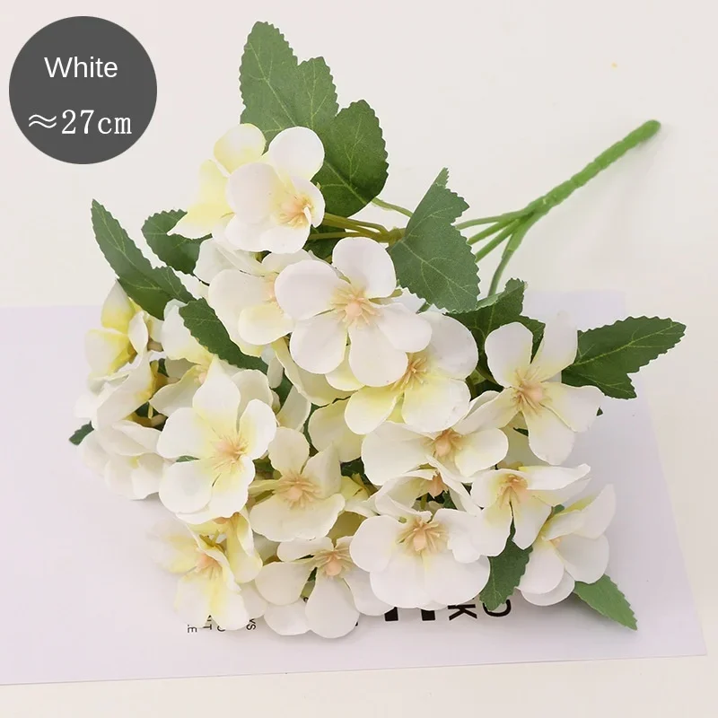 

Begonia Flower Dry Flower Embossing Plant Specimen Dried Flowers Embossing Botany Specimen DIY Manual Decoration Petal Candles