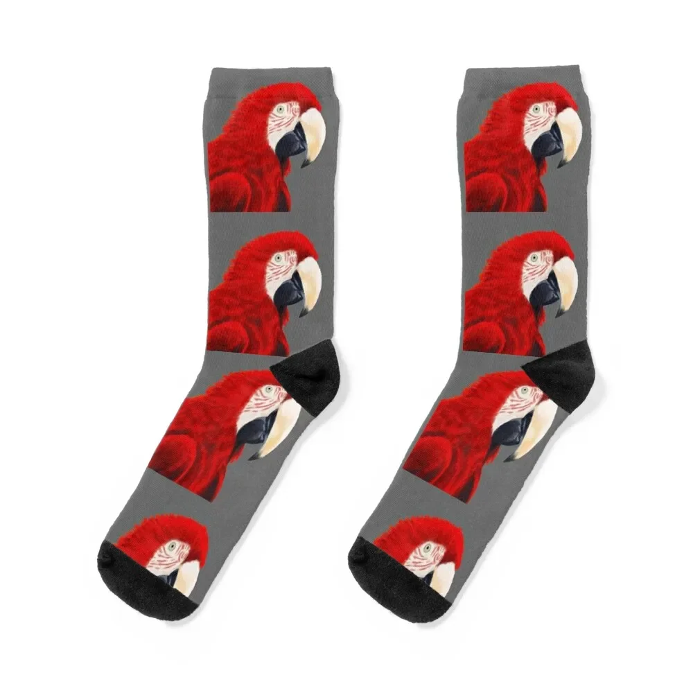 

Macaw (Scarlet/Green Winged) Portrait Socks soccer anti-slip hiphop summer Ladies Socks Men's