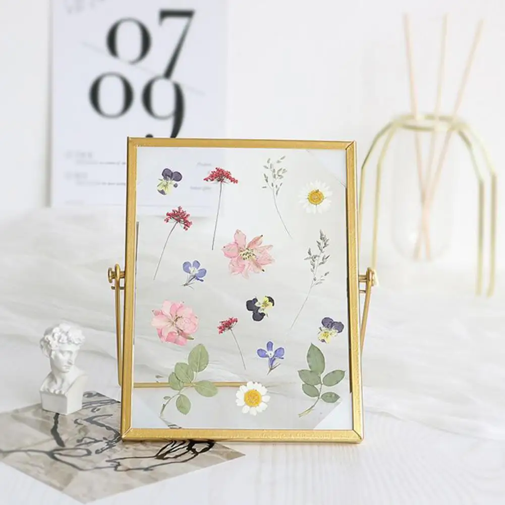 Artwork Display Frame Glass Photosframe Pressed Flower Glass Frame Double-sided Display Holder for Dried Flowers Photos Diy