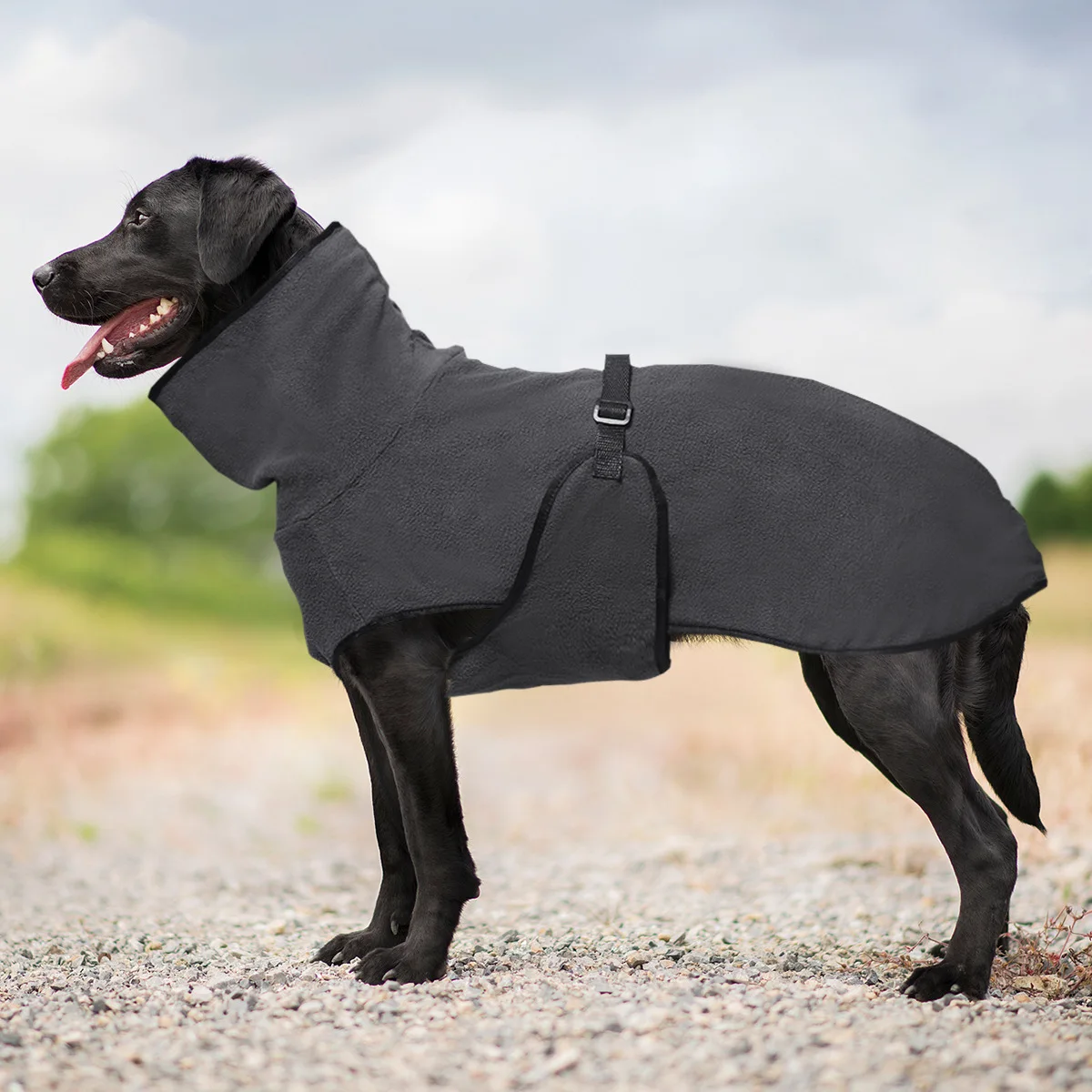 #53 Highest Rated Pet Winter Clothing to Buy in 2026