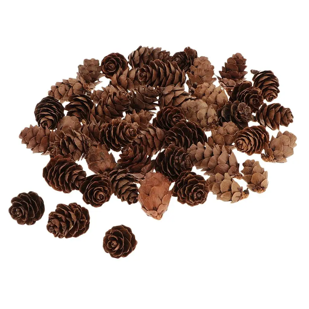 60Piece Pine Cone Pineal Nuts Party Decorations Adornments Vase Bowl Fillers