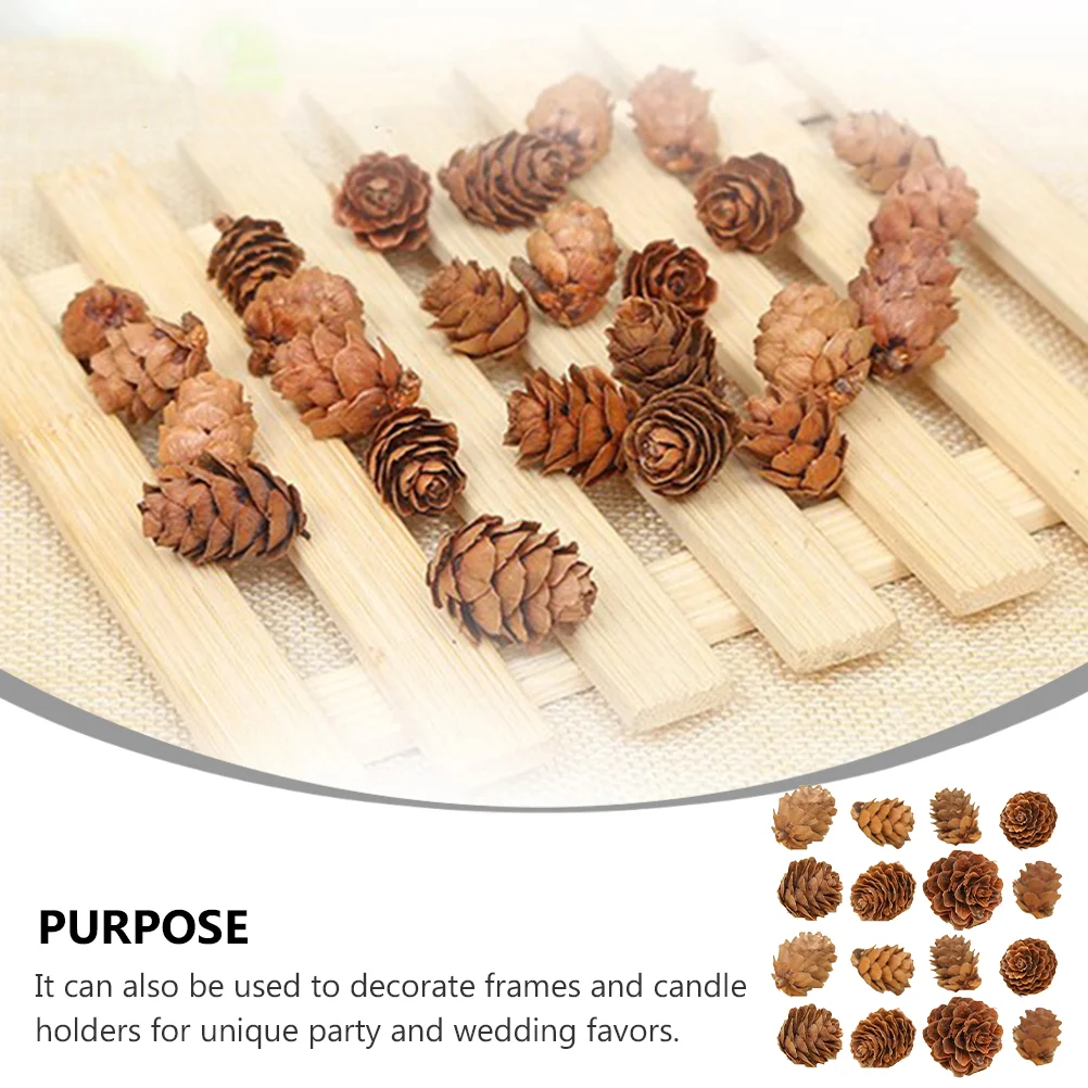 100 Pcs Songhwa Photo Props Wooden Pine Cone Cones کرسمس ornament Mini Fall Decorations for Home Garland مصنوعی پودے