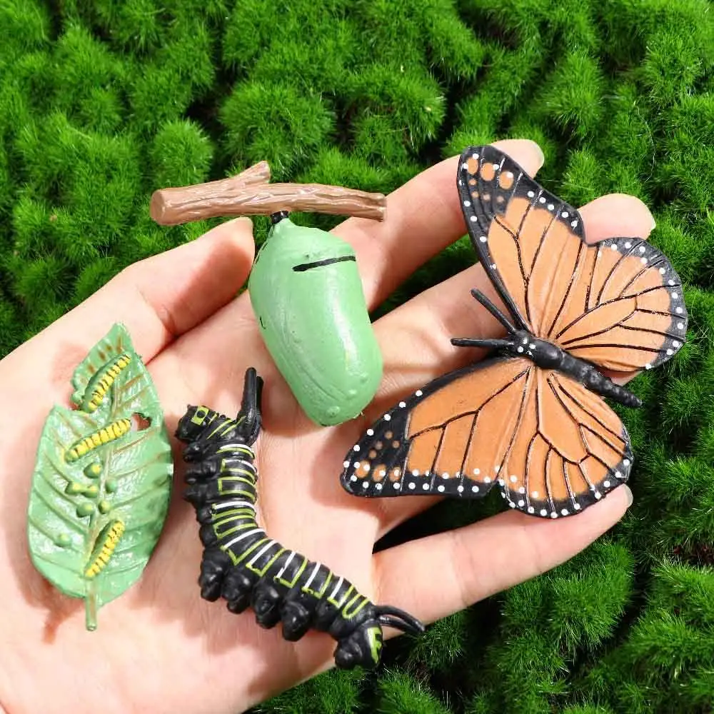 Butterfly Growth Cycle Chicken Spider Insect Animals Simulation Animals Life Cycle Figurine Growth Cycle Model Action Figures