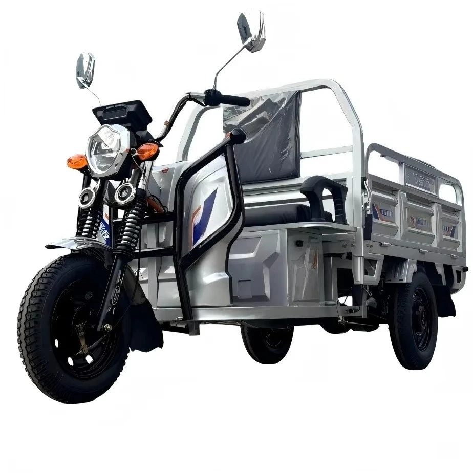 Heavy-Duty Cargo 650W 400kg Electric Tricycle 3-Wheel Farm Agriculture Commercial Delivery 48V 1.6m Flatbed