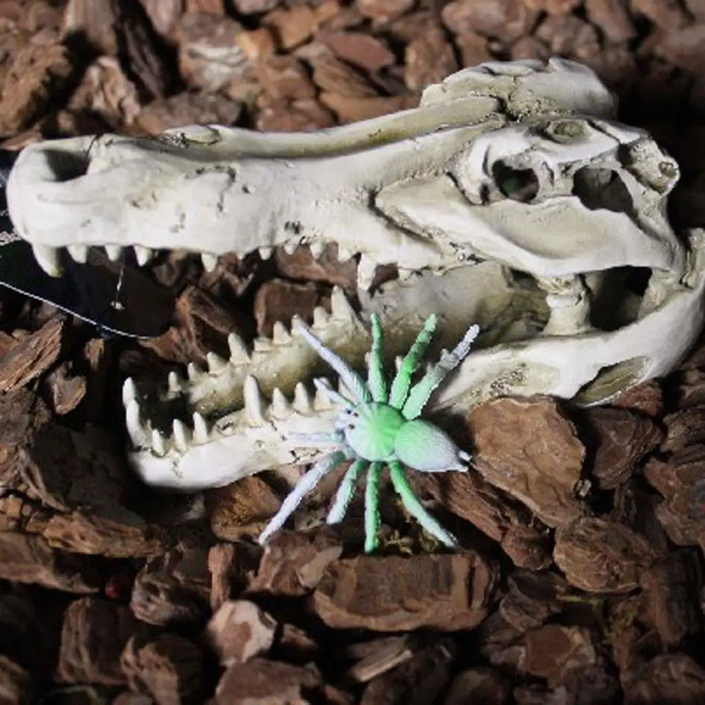 الزواحف Vivarium الديكور إخفاء الكهف حوض السمك تحت الماء زخرفة الجمجمة