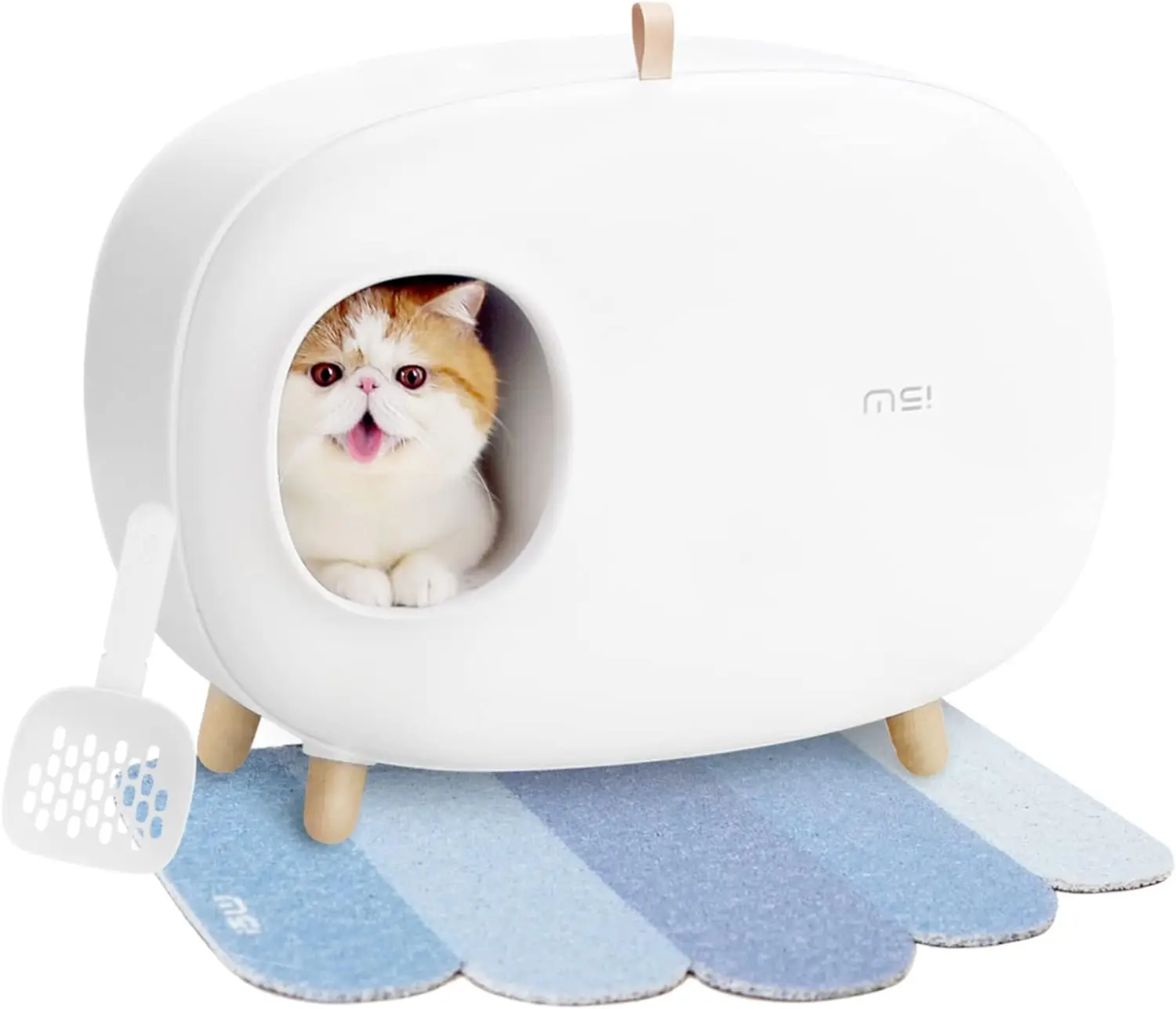 

Cat Litter Box Enclosed Design Large Space Litter Box With Lid Prevent Sand Leakage Cat Litter Box With Cat Litter Scoop