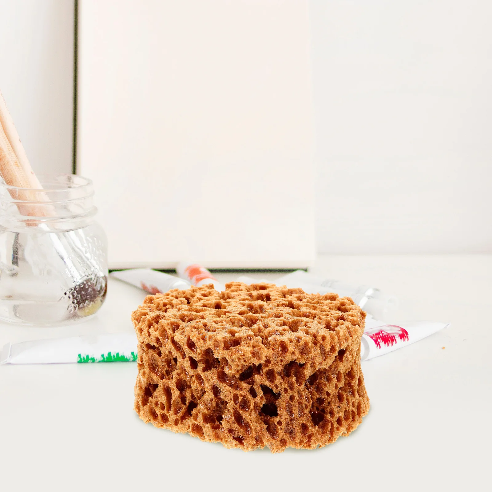 

Reusable Sea Sponge for Painting Professional Grade Art Tool for Drywall Texture and Craft Projects Natural Sponges