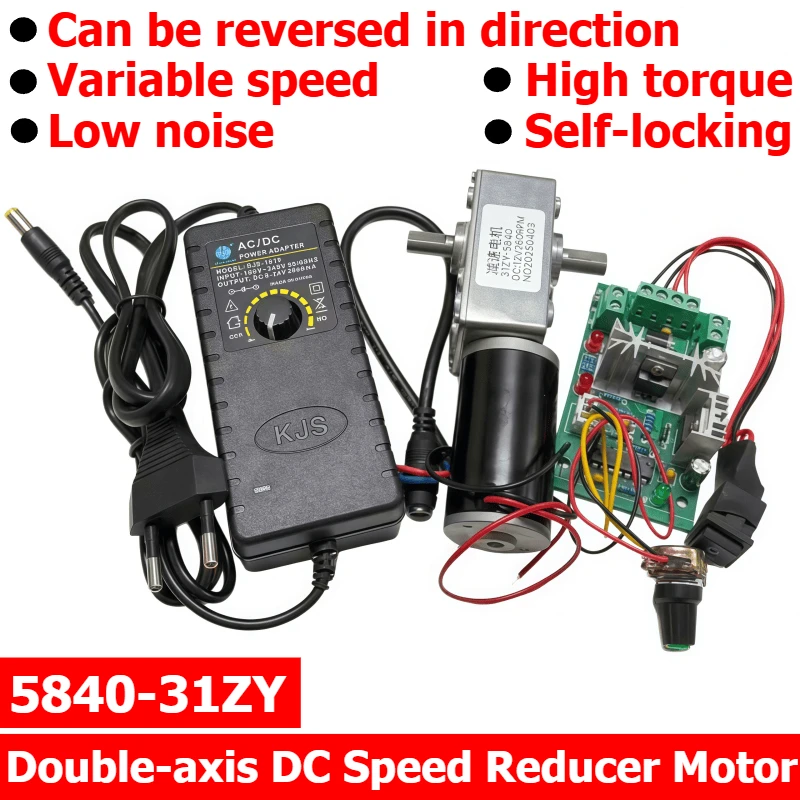 5840-31ZY Worm Gear Worm Reducer Motor with Self-locking DC Motor and Speed Controller, Adjustable Power Supply