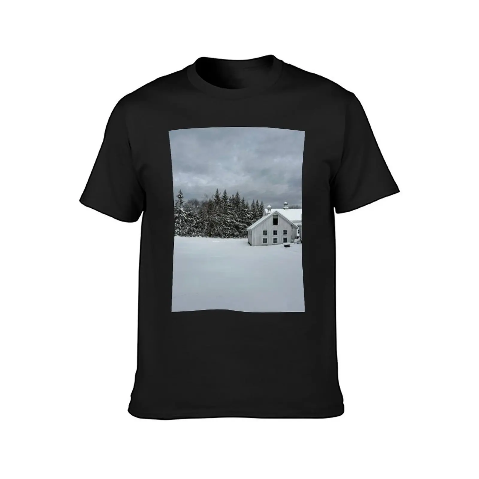 Snowstorm in Winter T-Shirt animal prinfor boys vintage boys whites mens t shirts casual stylish