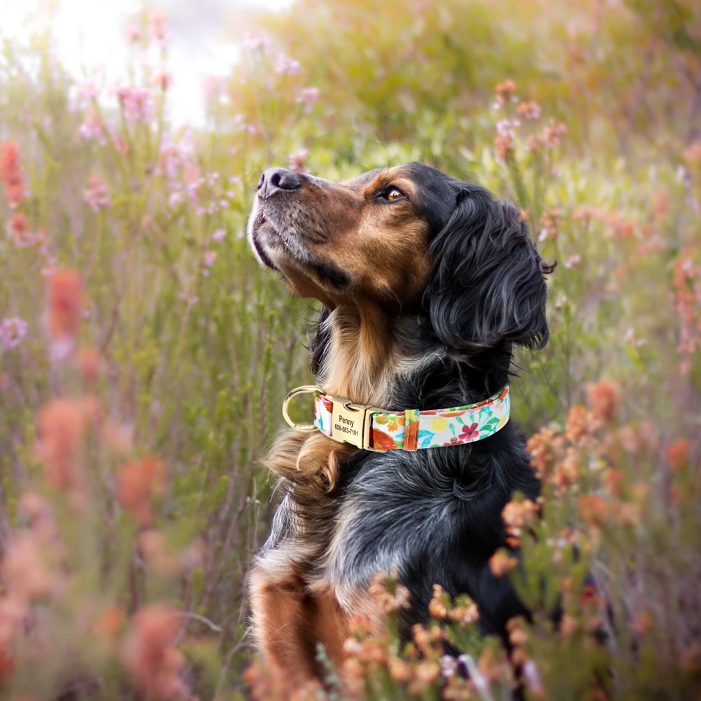 Personalisiertes Nylon-Hundehalsband mit Blumen- und Biene-Aufdruck, Welpenhalsbänder, kostenlose individuelle Haustier-ID-Halskettenhalsbänder für kleine große Hunde, Chihuahua – Detail 22
