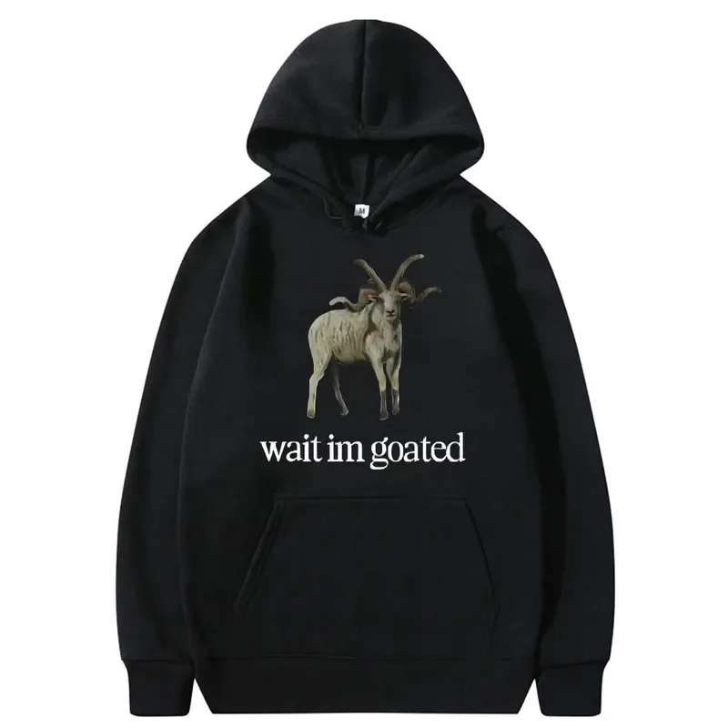 Singer Alex G Wait Im Goated Funny Meme Graphic Hoodie Male Vintage Sweatshirt Men Women Oversized Hoodies Men's Casual Clothing