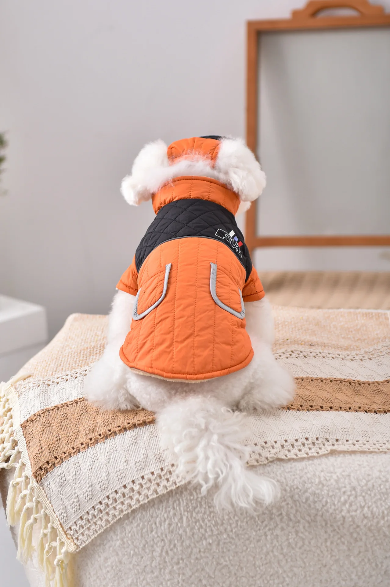 Winddichtes Mantel- und Mützen-Set für französische Bulldogge, Hundekleidung, Sweatshirt, Haustier-Outdoor-Outfit, Jacke, XS, 4XL, Katze, Chihuahua, Möpse – Detail 6