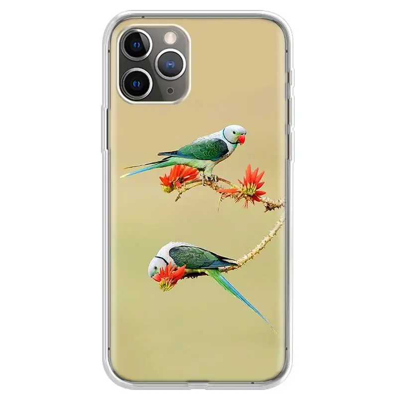 lovely birds Phone Case For iPhone 17 Air 11 13 Mini 14 15 Plus 16 12 Pro Max 16E SE 7 8 Pattern Soft TPU Back Cover Case For Ap