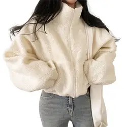 Women Short Lamb Wool Jacket 2024 Autumn Winter Thicken Warm Plush Coat Female Fashion Zipper Stand Collar Outerwear