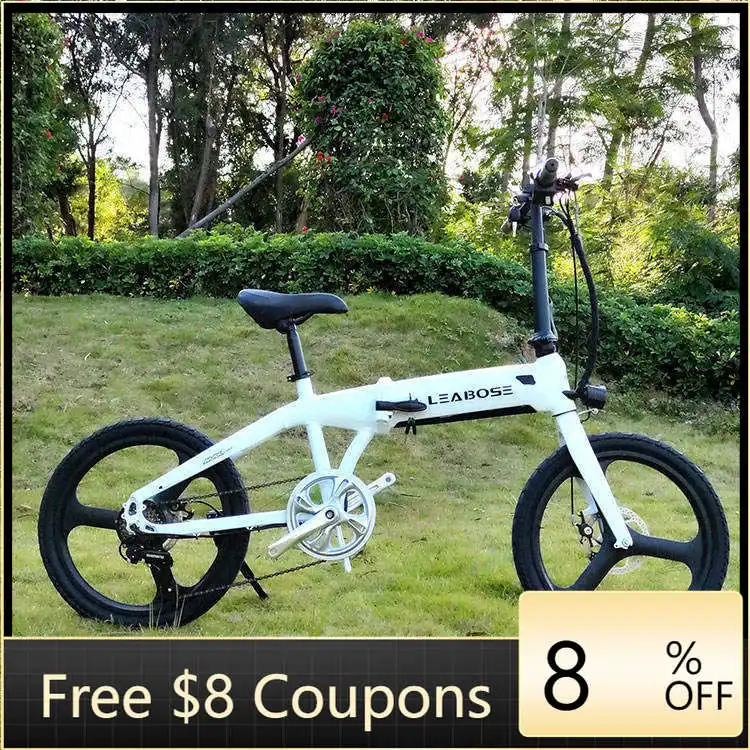 

STLF Top Selling Product Electric Bicycle With Lithium Battery Cheap Price 48V Electric Bike Electric Bicycle