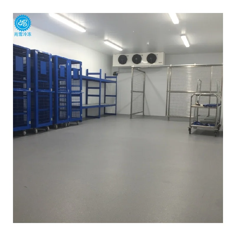 Commercial Walk in Freezer Cold Room with Smart Temperature Control for Supermarket Warehouse