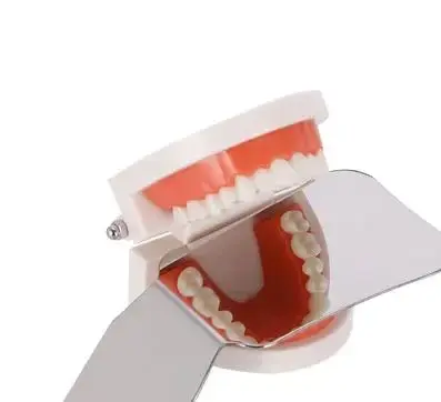 

Single/double Side Dental Reflection Mouth Mirror Intra-Oral Photo Photography Mirror Stainless Steel with Bag