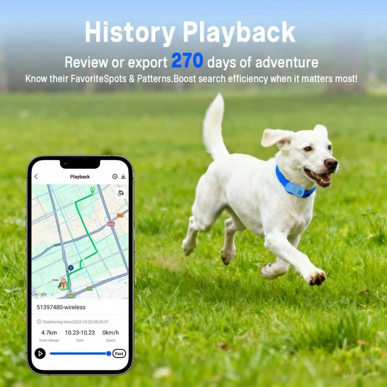 เครื่องติดตาม GPS ป้องกันการสูญหายสำหรับสุนัขขนาดใหญ่ ใช้สำหรับเดินป่ากลางแจ้ง - ระบุตำแหน่งแบบเรียลไทม์ กันน้ำระดับ IP67 พร้อมค่าบริการสมัครสมาชิก
