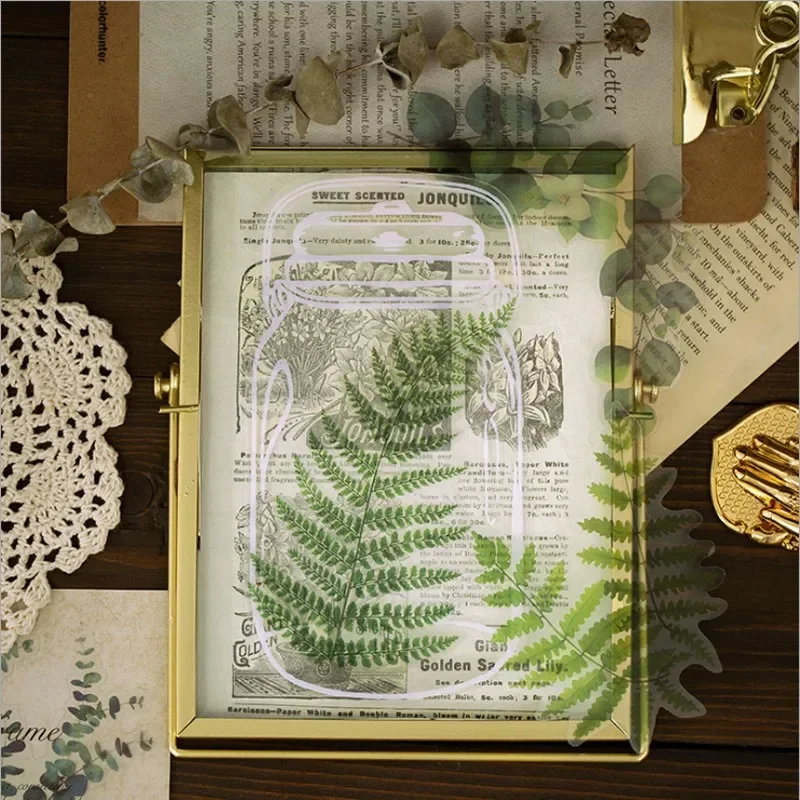 10 Sheets Plant Institute Series Journal PET Large Stickers DIY Nature Decoration Sticker Supplies Kawaii Stickers