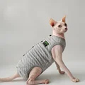Grey Coat