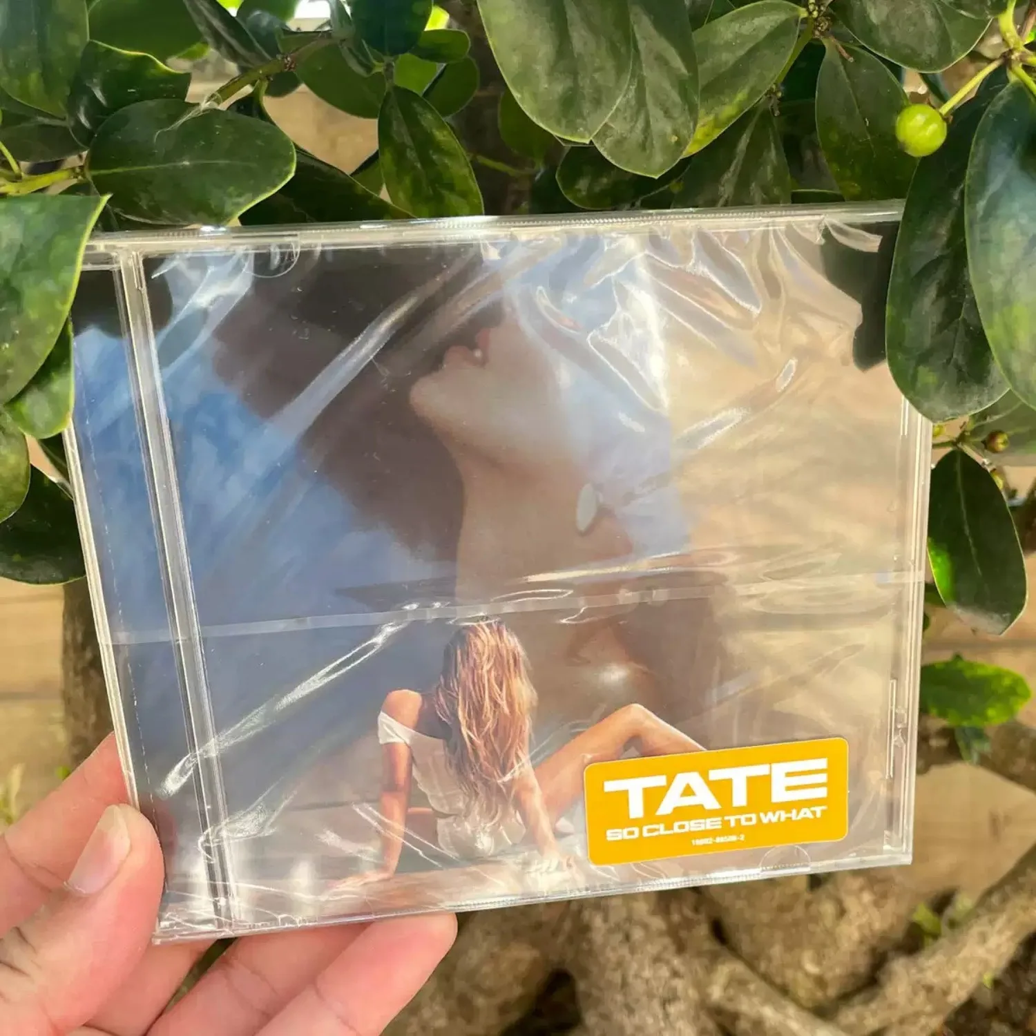 Gentle Healing Pop Vocal CD Album | Light-and-Shadow Portrait Atmospheric Cover, Delicate Vocal Lyrical Tracks Full Edition