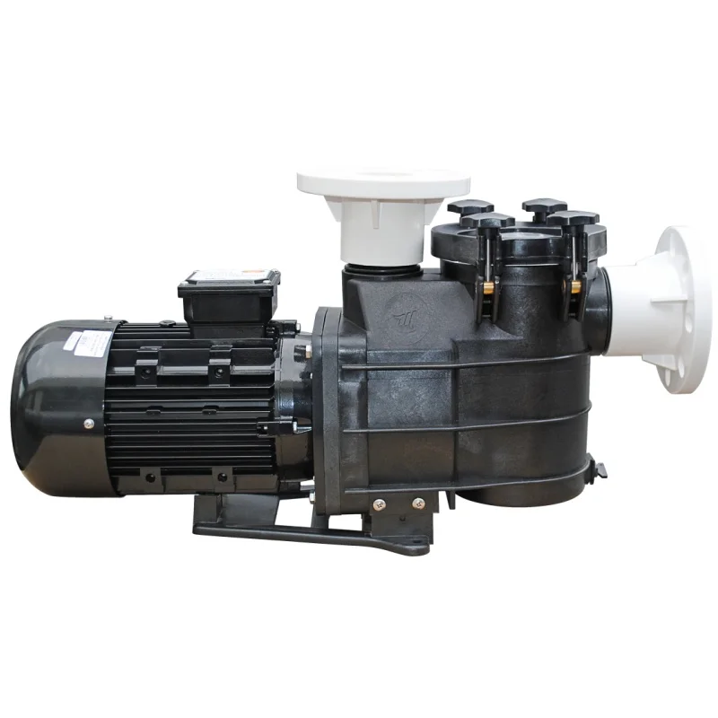 Large Commercial Swimming Pool Water Treatment Equipment High Quality Water Pump CE HALA Approval Stable Performance