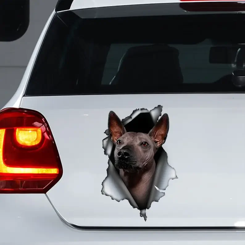 Xolo decal, Xolo sticker, Xolo magnet, Xoloitzcuintle magnet, Xoloitzcuintle sticker