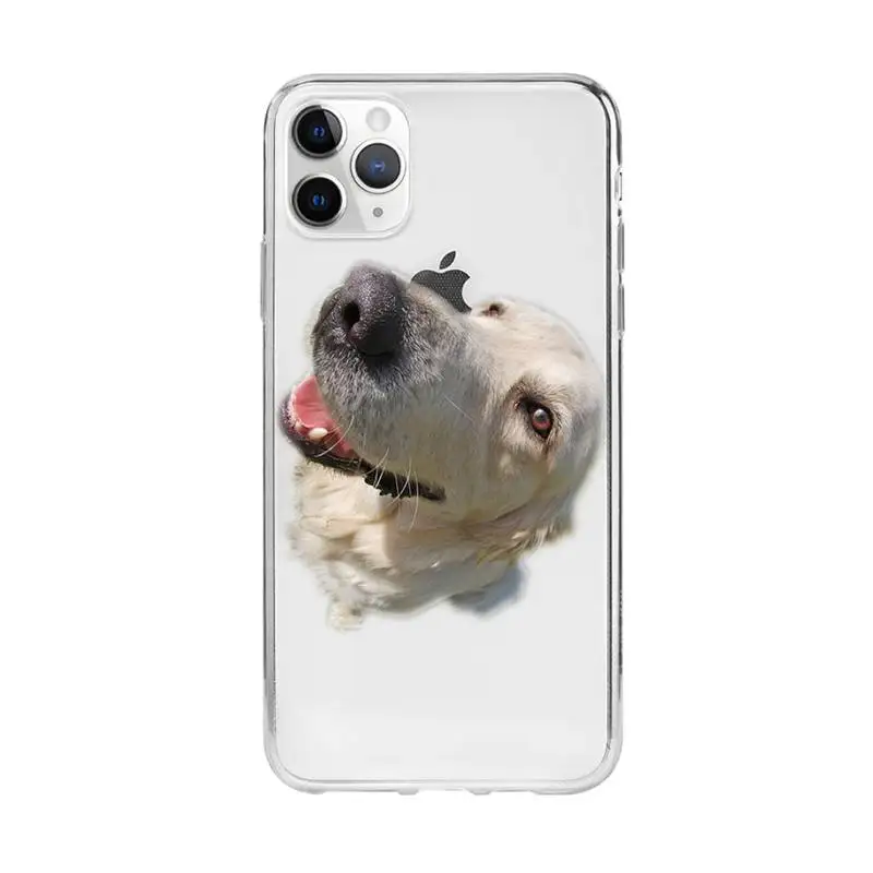 Golden Retriever Dog Phone Case For Samsung A10s A20S A30S A50S A10A 12 A20 A20E A40 A30 A50 A70 A31 A51A52 A71 Transparent