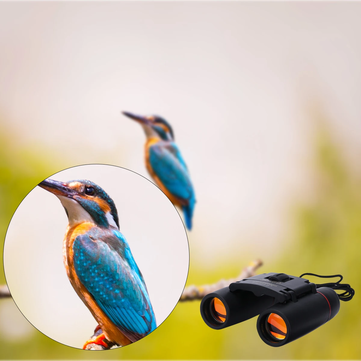 

Mini Telescope 60mm Lens 30x Magnification Compact Outdoor Birding Professional Mini Pocket Folding Telescope