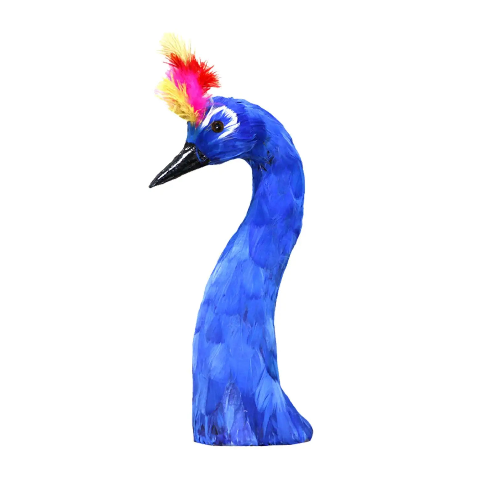 Peacock Garden Decoration Real Feather Figurines Statuette Modern Statues Decor for Home Office Dining Table