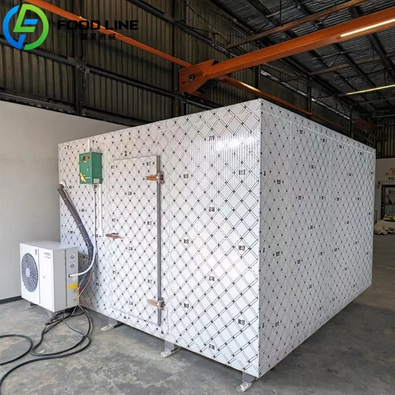 Custom Cold Food Storage Container Cool Room Freezer For Meat Snacks Refrigeration Unit Cold Storage Processing And Unit