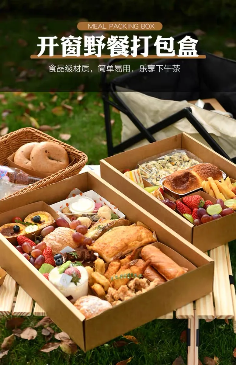 3 picnic boxes picnic box with lid disposable picnic box picnic storage box disposable storage box for lunch