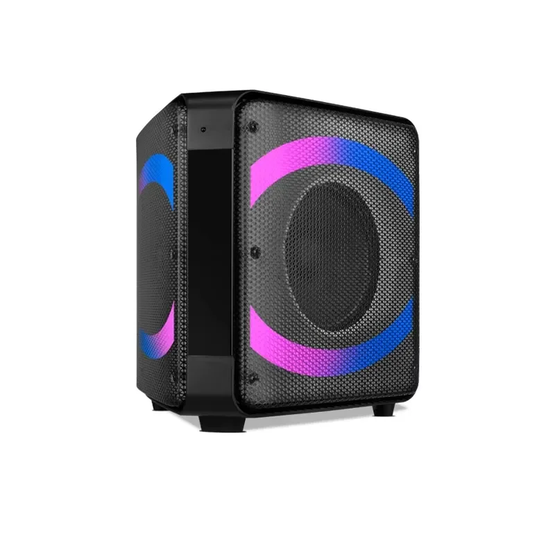 for Private Model 2x10 Inch Triangle Shape Party Speaker with LED Light and Printed Logo on the Speaker