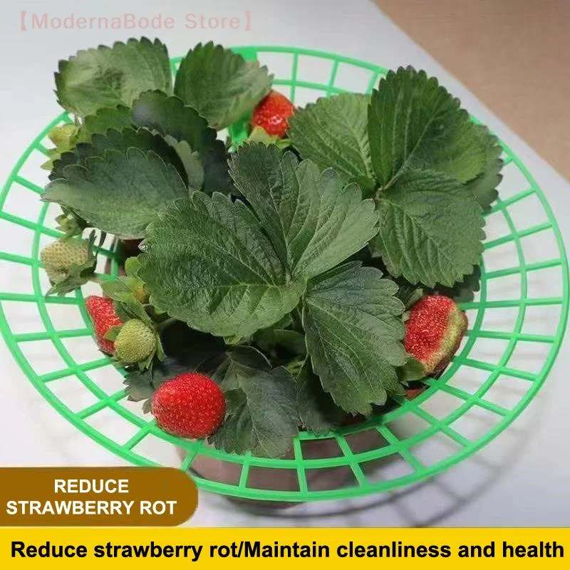 【M】Strawberry Plant Support Stand With Legs, Plastic Round Growing Rack To Keep Berries Clean & Prevent Rot